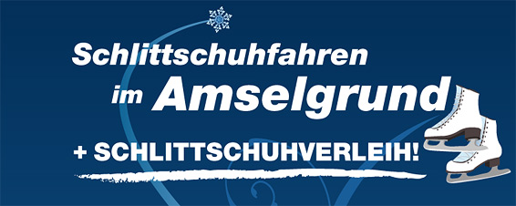 Schlittschuhfahren im Amselgrund